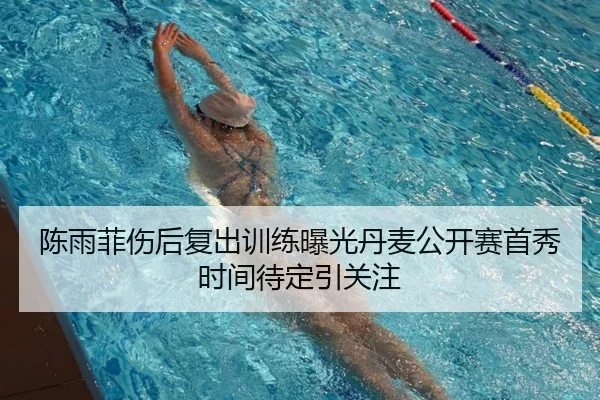 陈雨菲伤后复出训练曝光丹麦公开赛首秀时间待定引关注